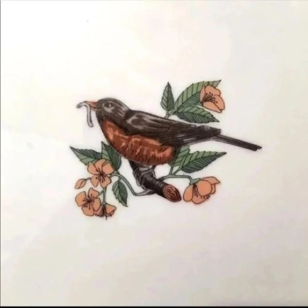 Vintage Robin Bird Porcelain Trivet
